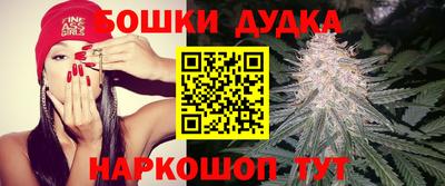 дживик Будённовск